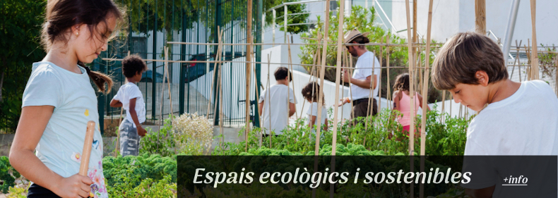 concienca ecologica banner slider copia