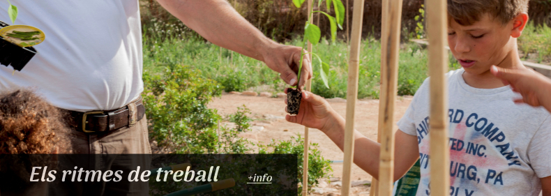 ritmes treball 2